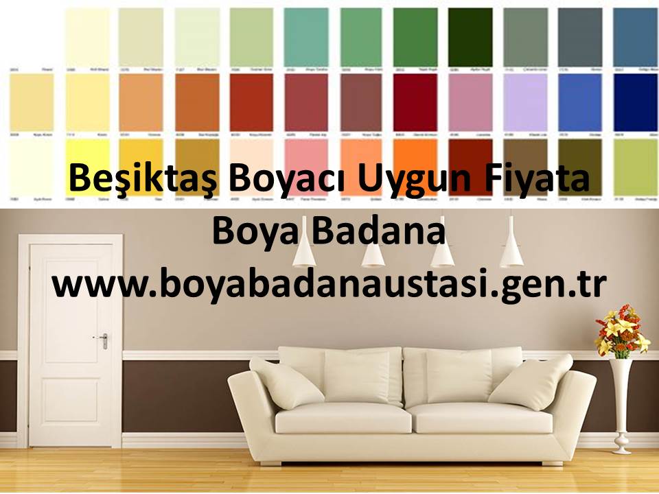 Beşiktaş Vişnezade Boyacı